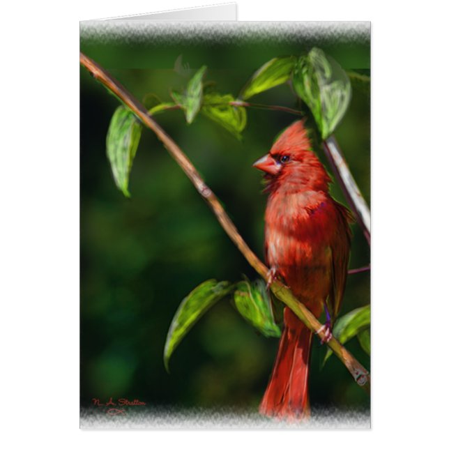 Red Cardinal (Front)