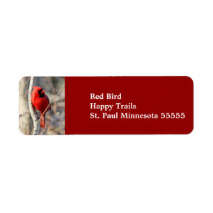 Red Cardinal Address Label Return Address Label