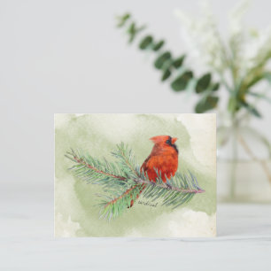 Red Cardinal Beautiful Rustic Watercolor Postcard