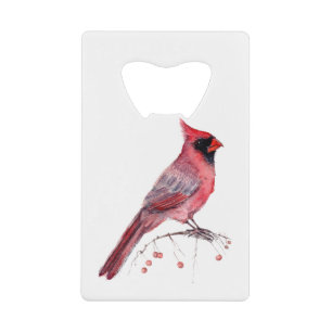 Red Cardinal Bird