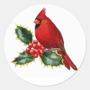 Red Cardinal Bird and Holly Berry Christmas Classic Round Sticker