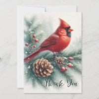Red Cardinal Bird and Pine 
