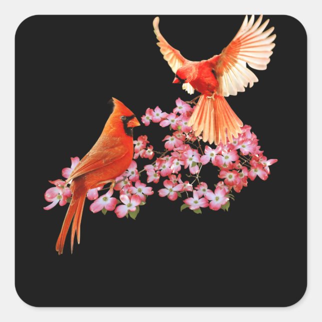 Red Cardinal Bird And Pink Flowering Dogwood Square Sticker (Front)
