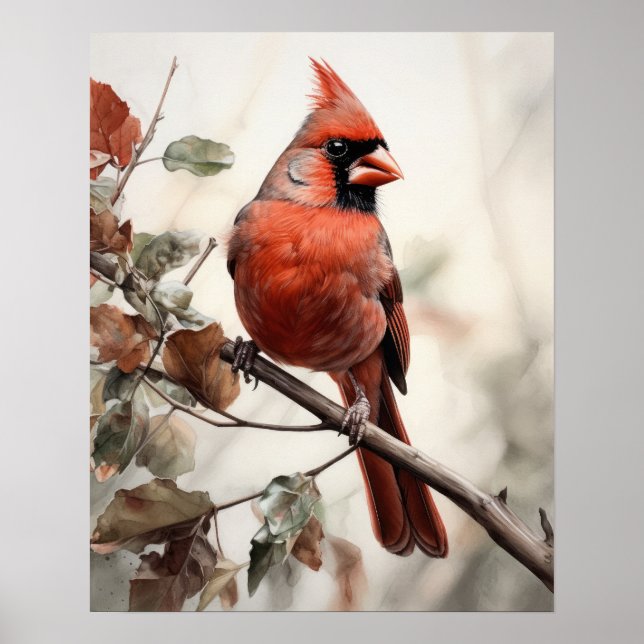 Red Cardinal Bird Art Print Poster (Front)