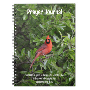 Red Cardinal Bird Bible Verse Prayer Journal