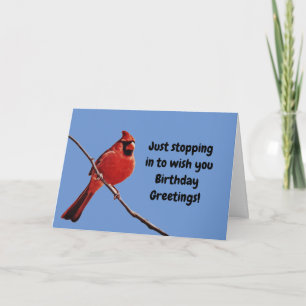 Red Cardinal Bird Blue Sky Birthday Card