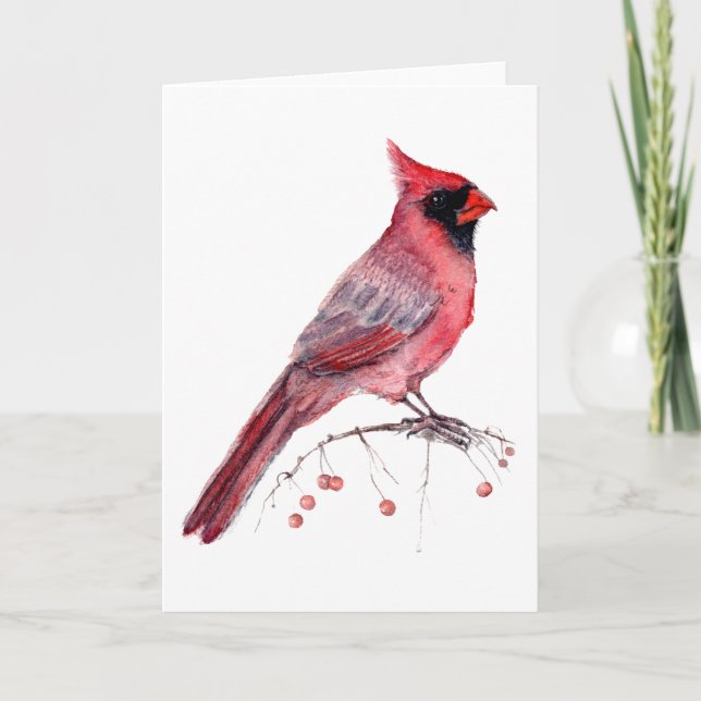 Red Cardinal Bird Card (Front)