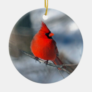 Red Cardinal Bird Ceramic Tree Decoration