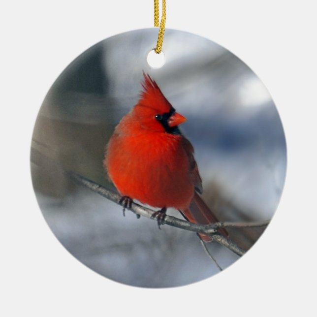 Red Cardinal Bird Ceramic Tree Decoration (Front)
