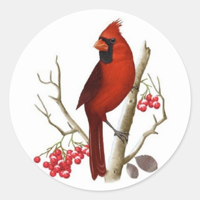Red Cardinal Bird Christmas Classic Round Sticker (Front)