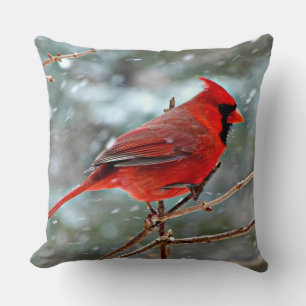 Red Cardinal bird, cold winter day Cushion