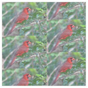 Red Cardinal Bird Fabric