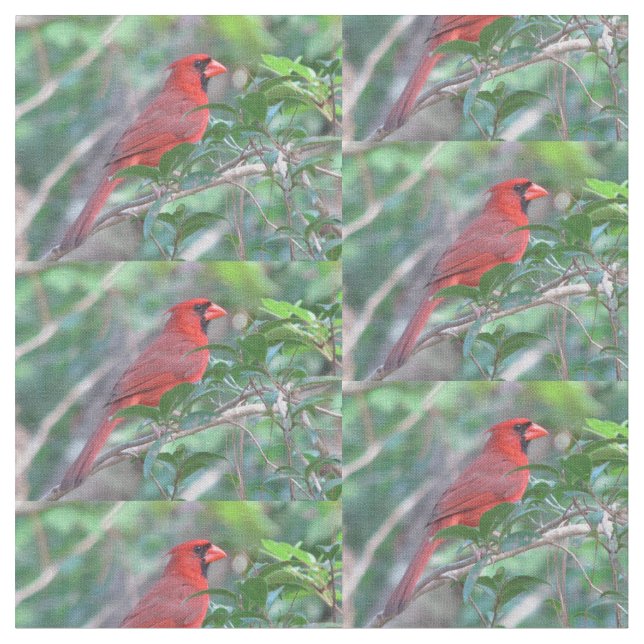 Red Cardinal Bird Fabric (Close Up)