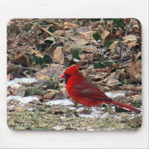 Red Cardinal Bird in Leaves Mouse Pad