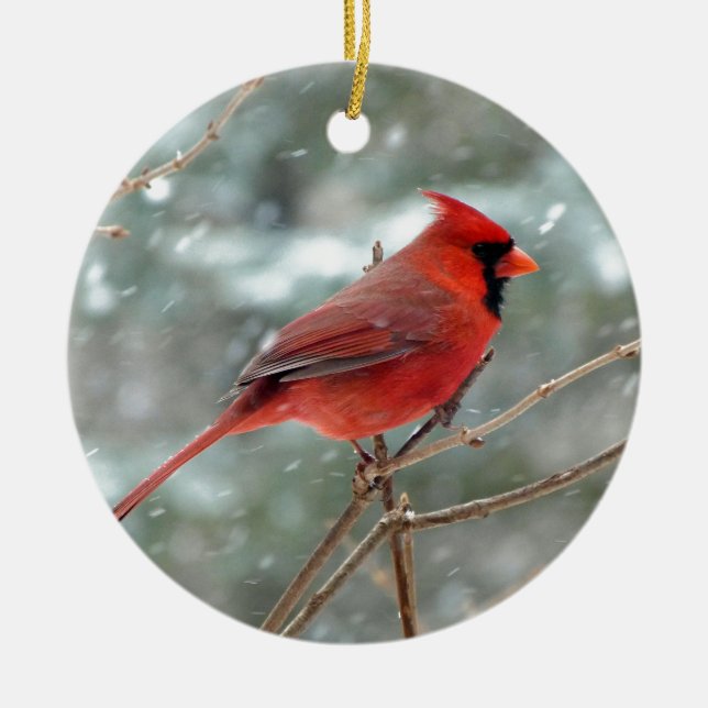 Red Cardinal Bird in Snow Winter Ceramic Tree Decoration (Front)