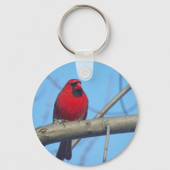 Red Cardinal/Bird Key Ring (Front)