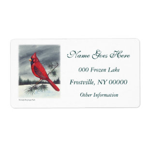 Red Cardinal Bird Left