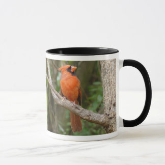 Red Cardinal Bird Mug