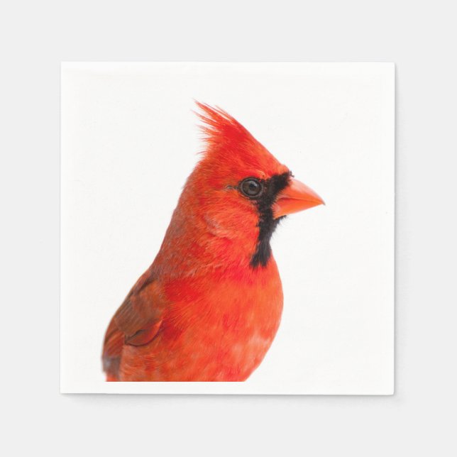 Red Cardinal Bird Napkin (Front)