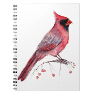 Red Cardinal Bird Notebook