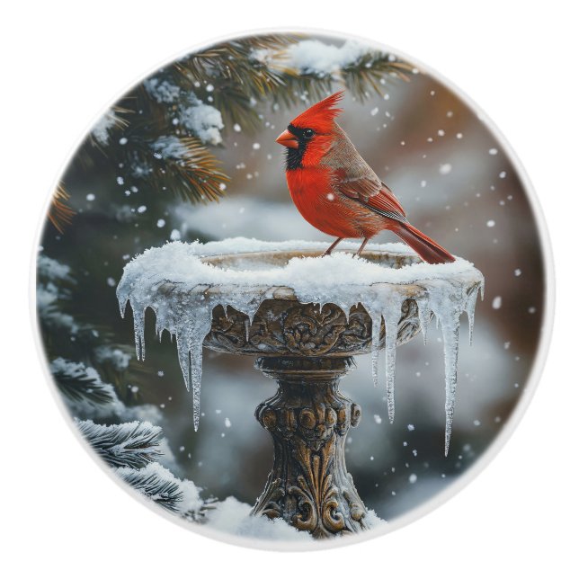 Red Cardinal Bird on a Frozen Birdbath Art Ceramic Knob (Front)