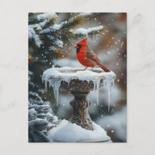 Red Cardinal Bird on a Frozen Birdbath Art Postcard