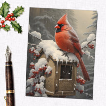 Red Cardinal Bird on a Mailbox