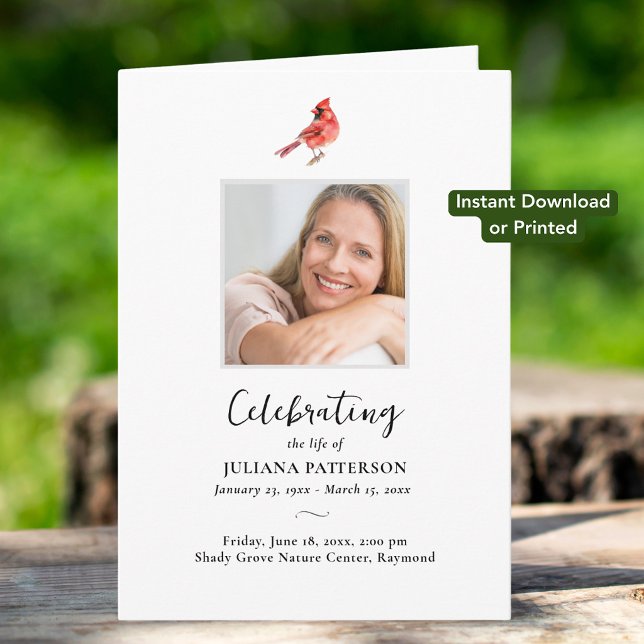 Red Cardinal Bird Photos, Digital Funeral Program  (Creator Uploaded)