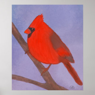Red Cardinal Bird Poster