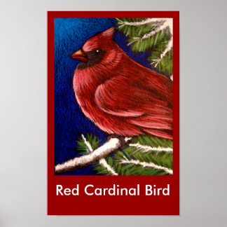 RED CARDINAL BIRD Poster