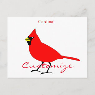 Red Cardinal Bird Thunder_Cove Postcard