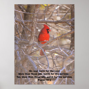 Red Cardinal Bird Waiting Peacefully Bible Verse Poster