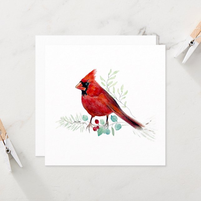 Red Cardinal Bird Watercolor (Red Cardinal Watercolor Colored Pencil Blank Square Note Cards from Jenn Steffen Art)