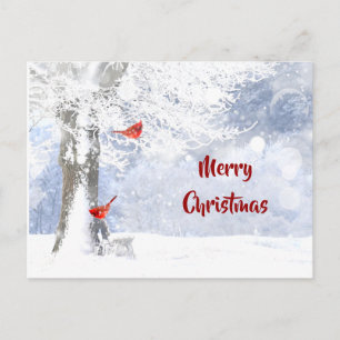 Red Cardinal Birds Christmas snowy Trees Postcard