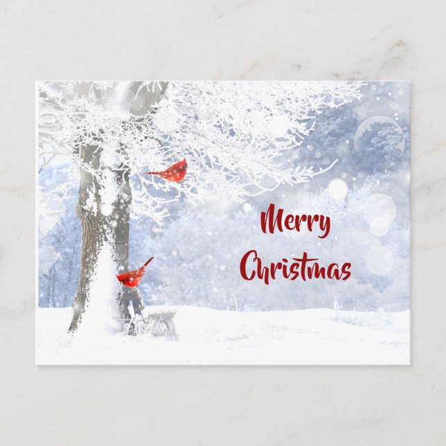 Red Cardinal Birds Christmas snowy Trees Postcard (Front)