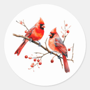 Red Cardinal Birds on Holly Tree Branch Classic Round Sticker
