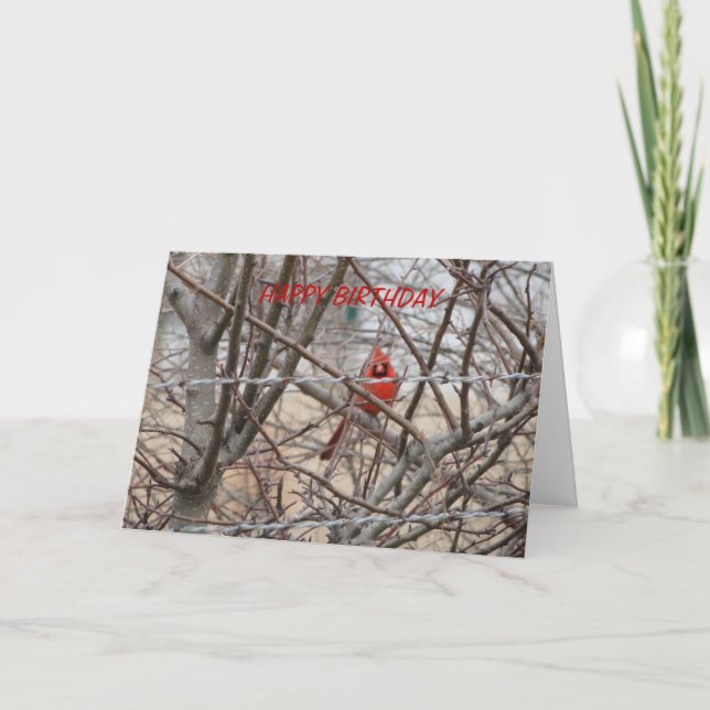 Red Cardinal, Birthday Let It Shine Card (Front)