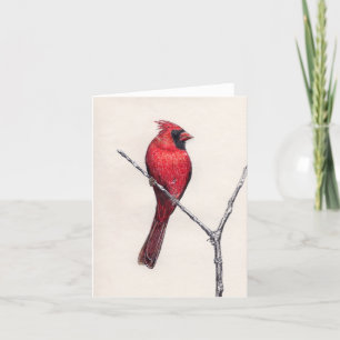 Red Cardinal Blank Card