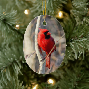 Red Cardinal Ceramic Ornament