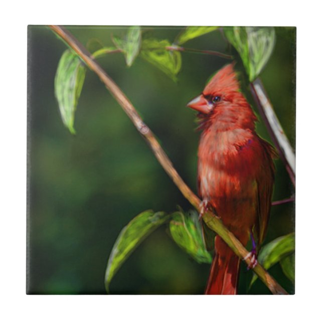 Red Cardinal Ceramic Tile (Front)