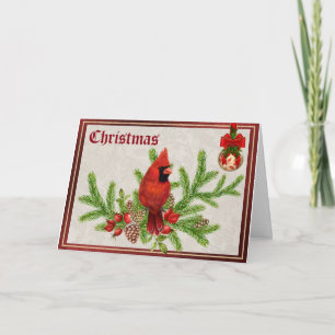 Red Cardinal Christmas Card