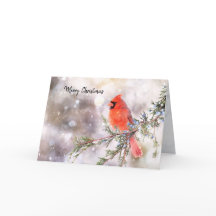 Red Cardinal Christmas Folded Holiday Card