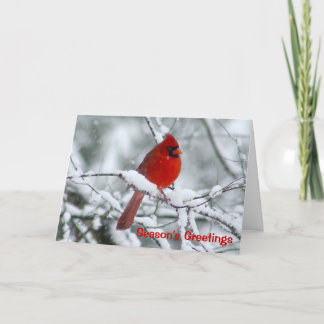 Red Cardinal Christmas Greeting Card