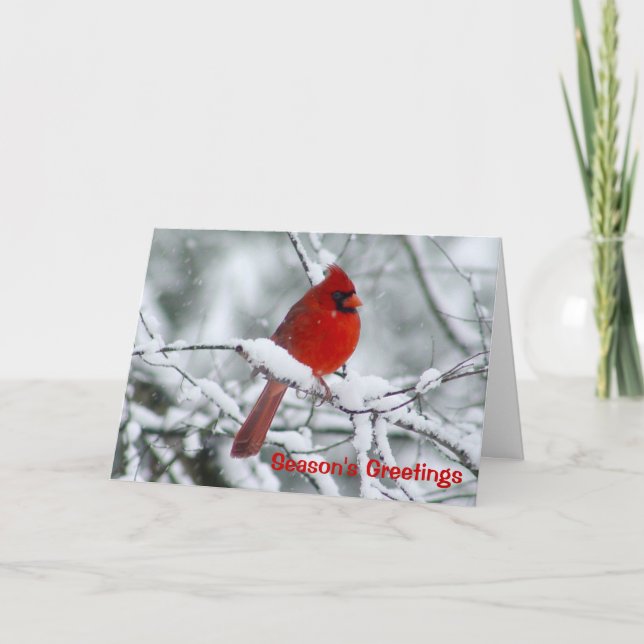 Red Cardinal Christmas Greeting Card (Front)