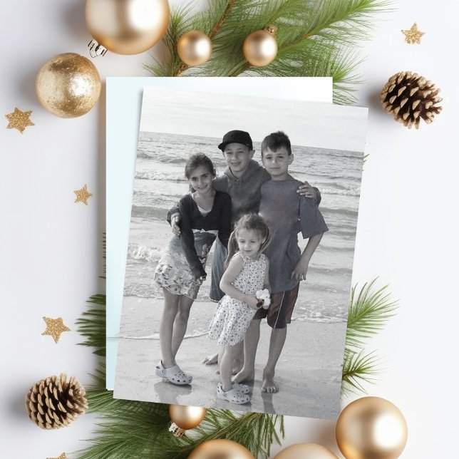 Red Cardinal Double Sided Photo Card (Christmas Season's Greetings red cardinal photo card.)