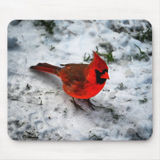 Red Cardinal Feathers and Plumage Mouse Pad (Front)