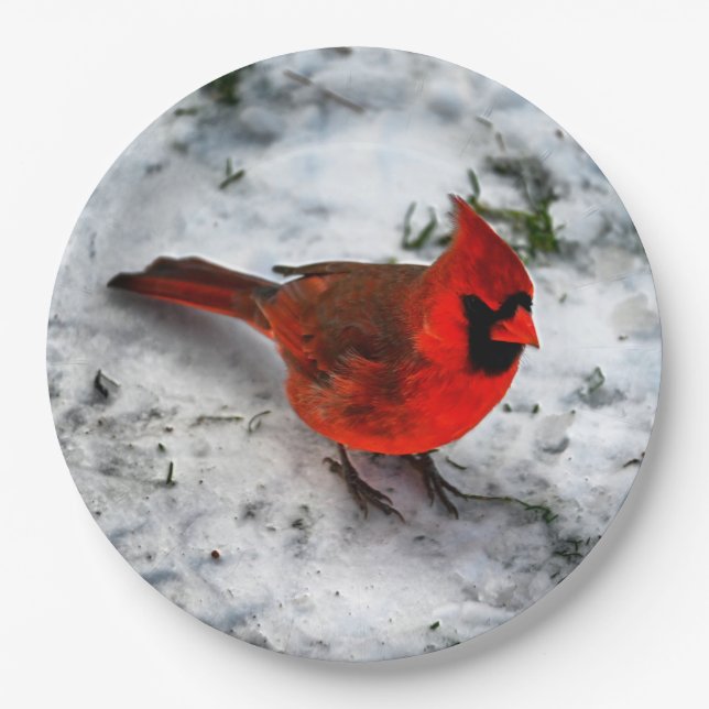 Red Cardinal Feathers and Plumage Paper Plate (Front)