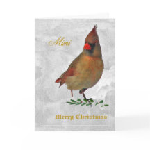 Red Cardinal female from front in snow w holly--tw