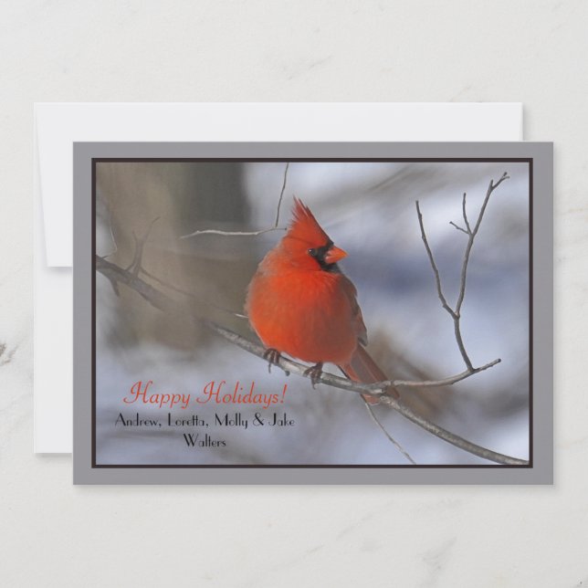 Red Cardinal Holiday Card (Front)