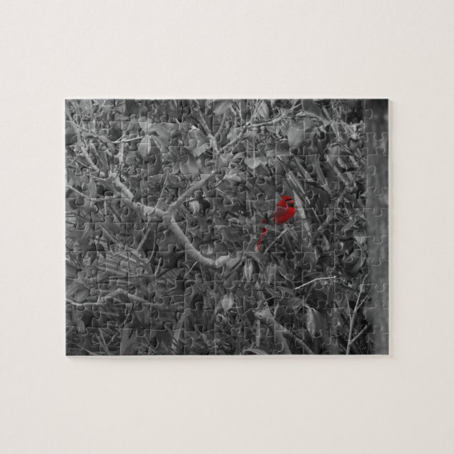 Red Cardinal in a Tree Black and White Jigsaw Puzzle (Horizontal)